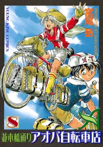 並木橋通りアオバ自転車店 8