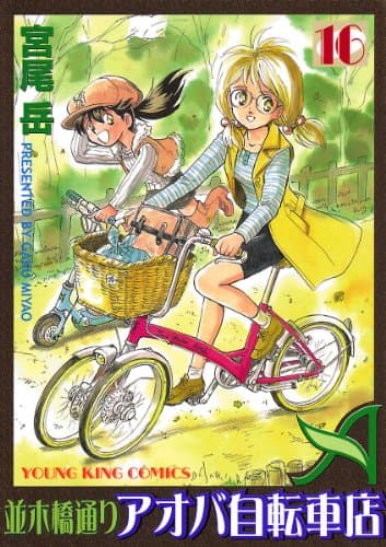 並木橋通りアオバ自転車店 16