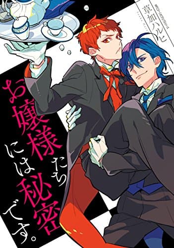 お嬢様たちには秘密です。