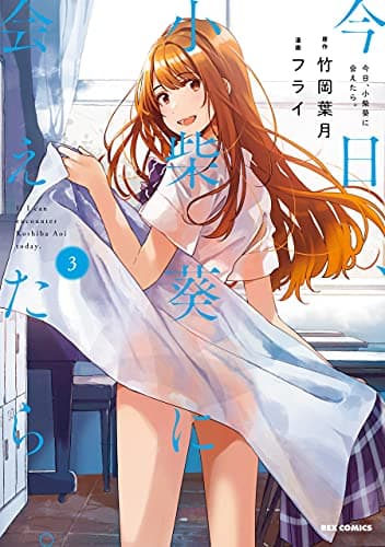 今日、小柴葵に会えたら。 3