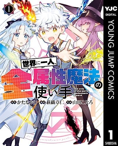 世界に一人、全属性魔法の使い手 = the only in the world,omnipotent wizard 1